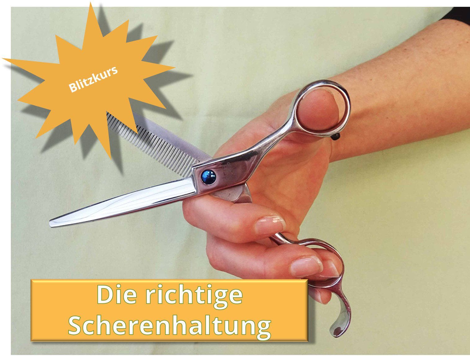scherenhaltung hundefriseur
