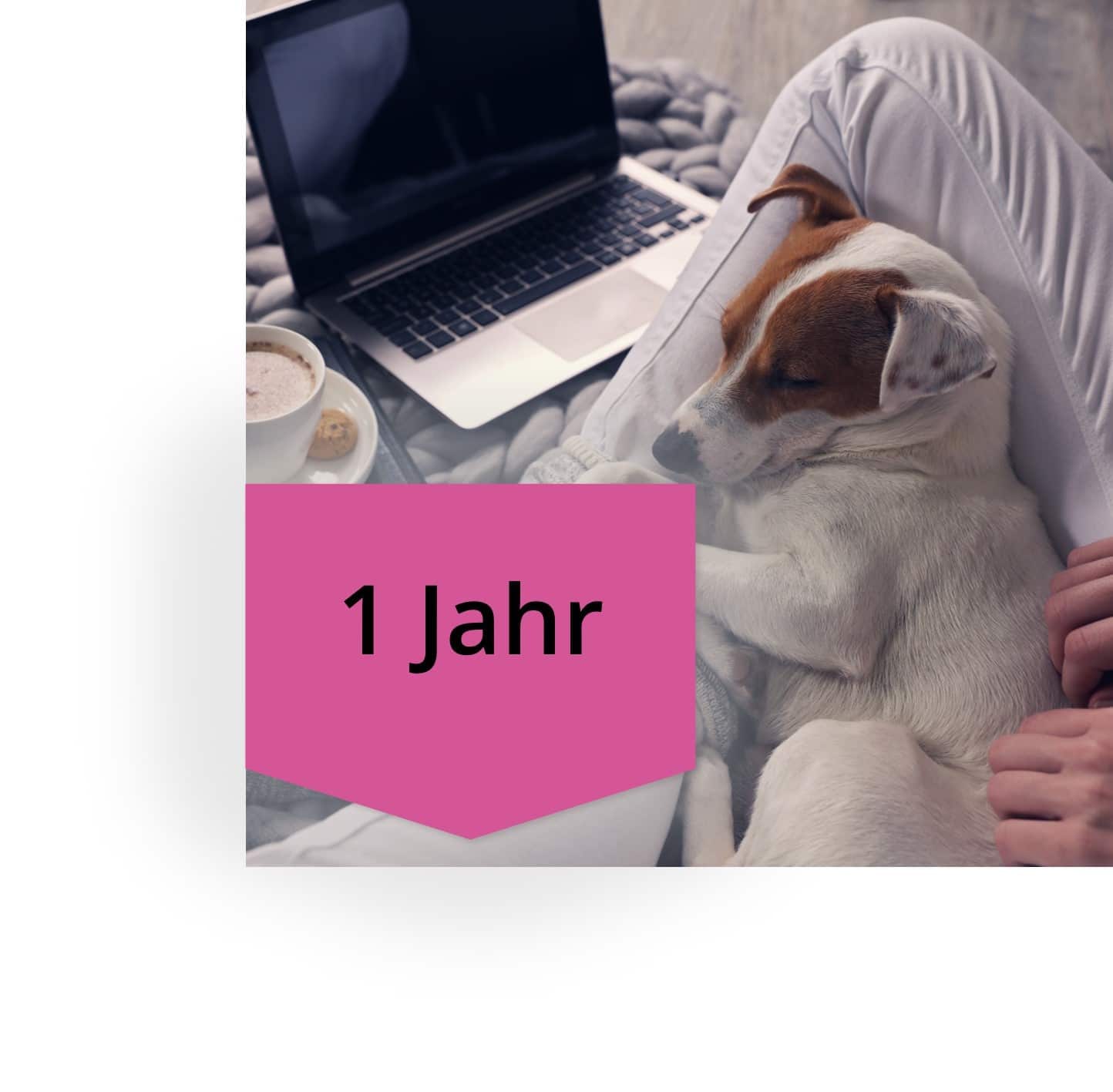 Kursverlängerung - 1 Jahr [Digital]