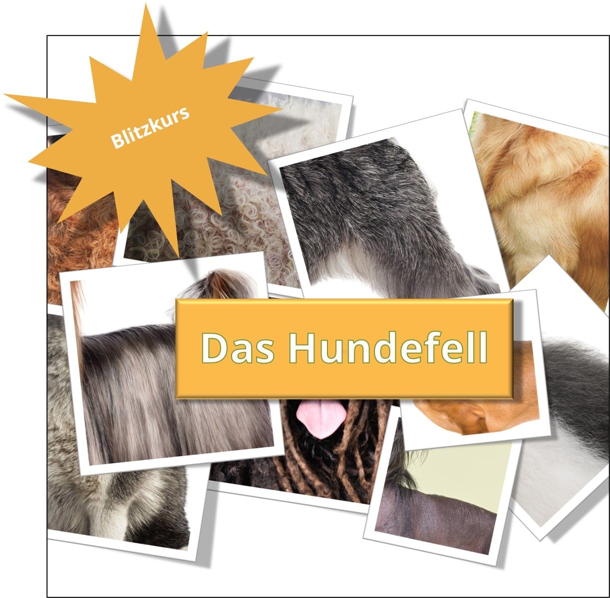 Das Hundefell