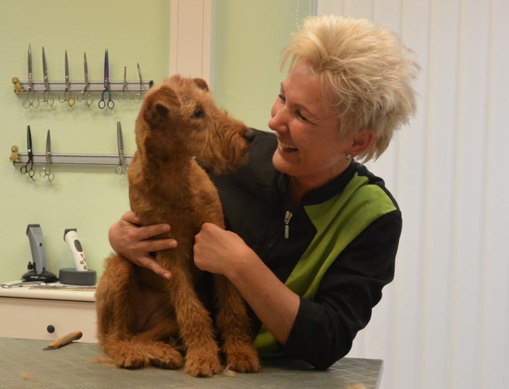 ausbildung hundefriseur
