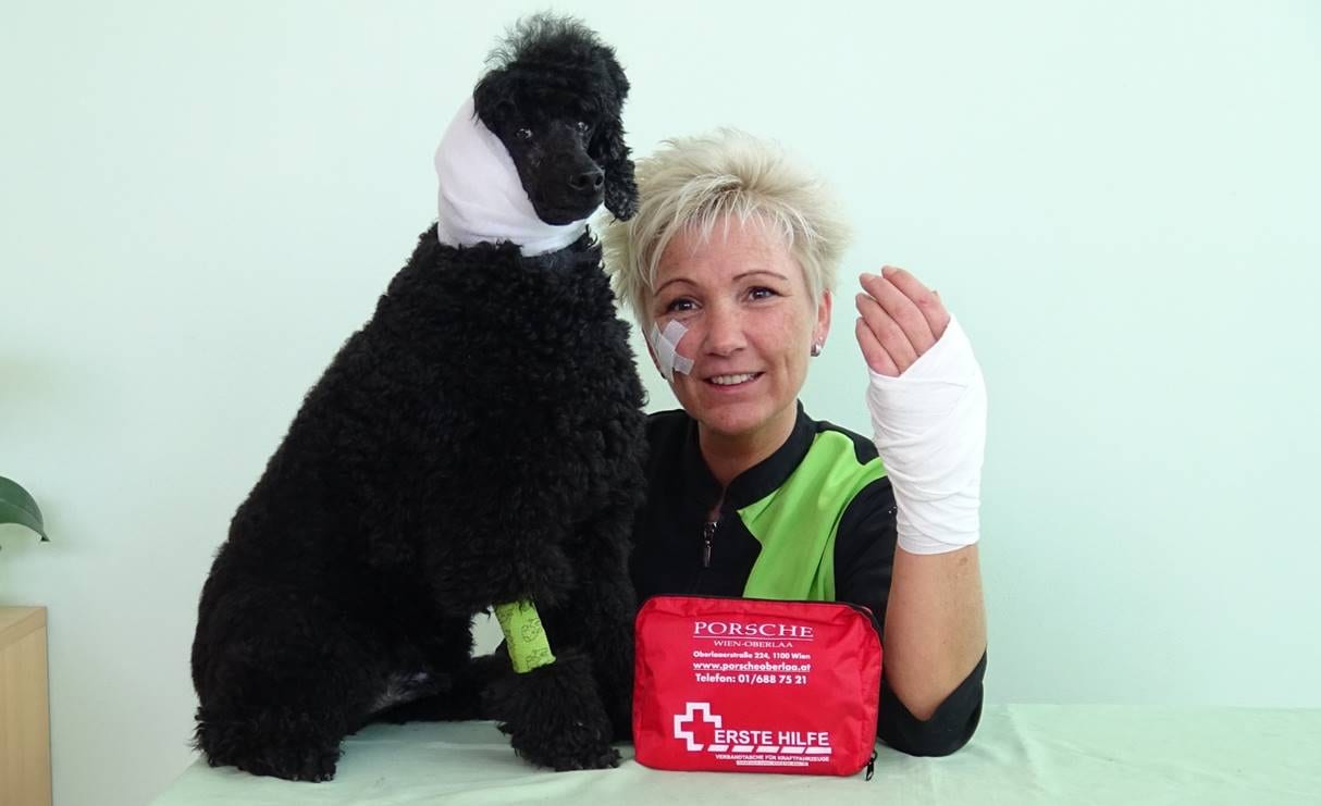 Hundefriseur erste hilfe
