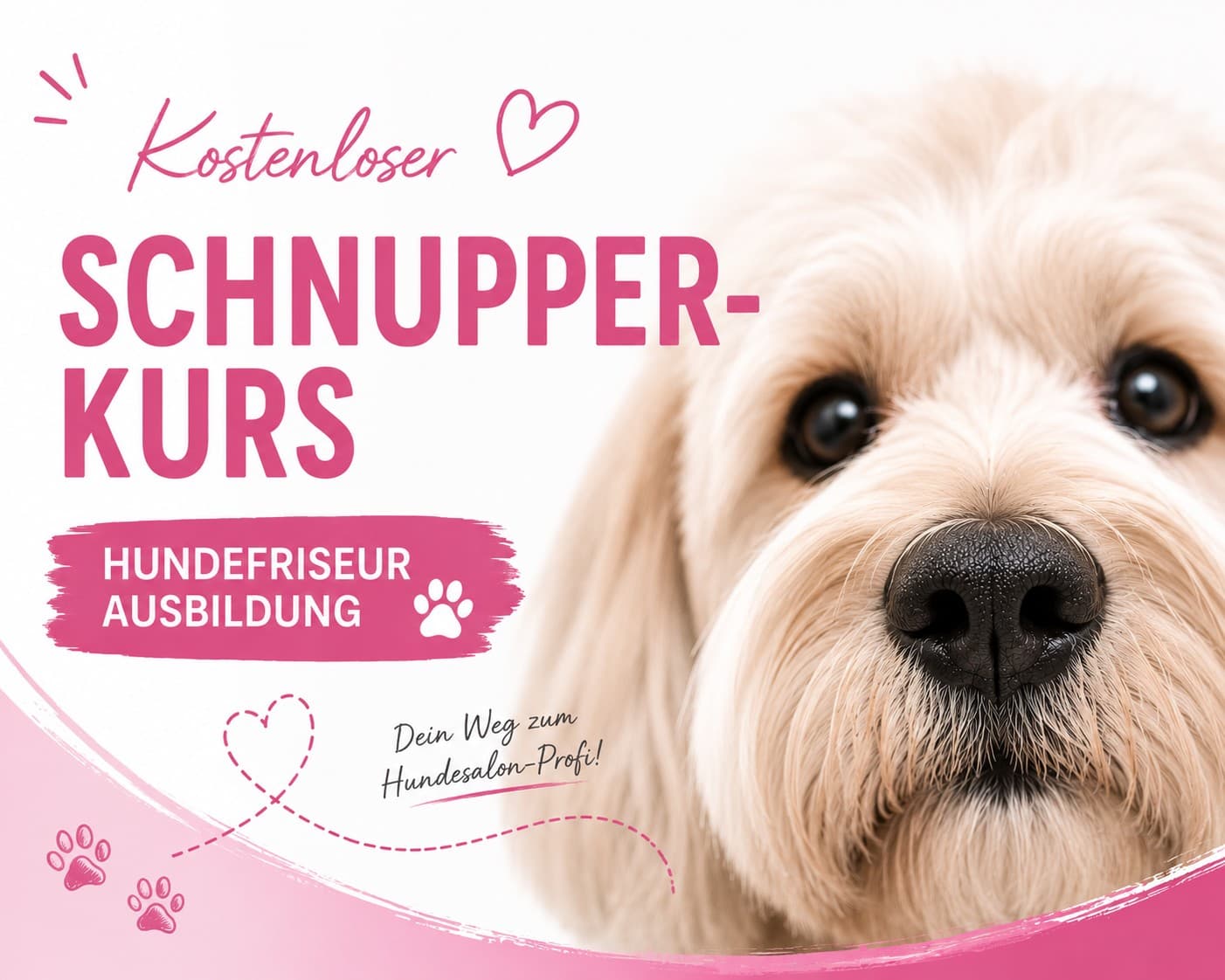 Hundefriseur Schnupperkurs