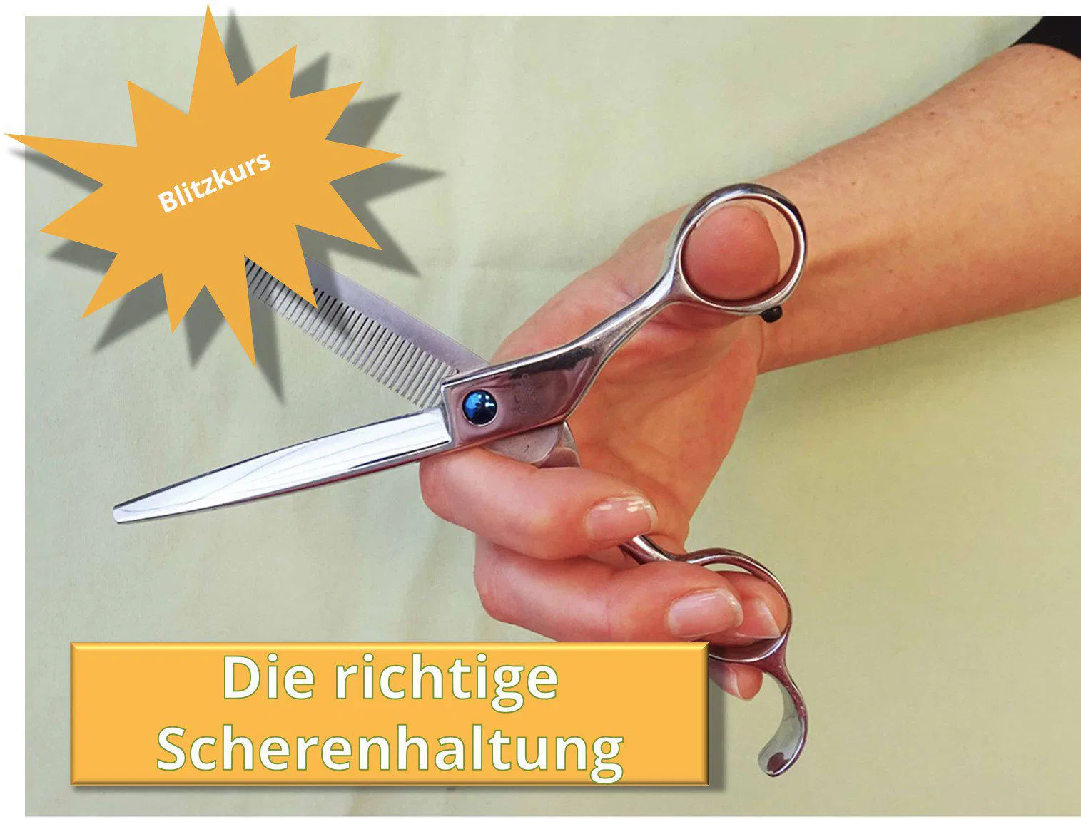 scherenhaltung hundefriseur